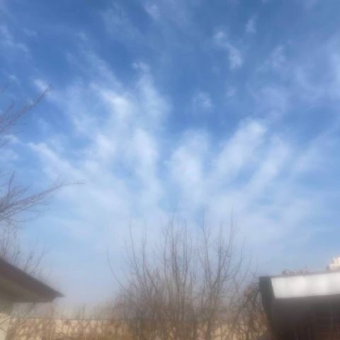 میتی دیپ - کادوی کریسمس